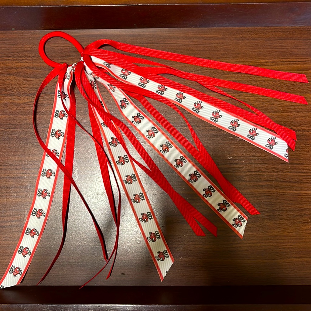 3/$25 Wisconsin Badger Hair Tie